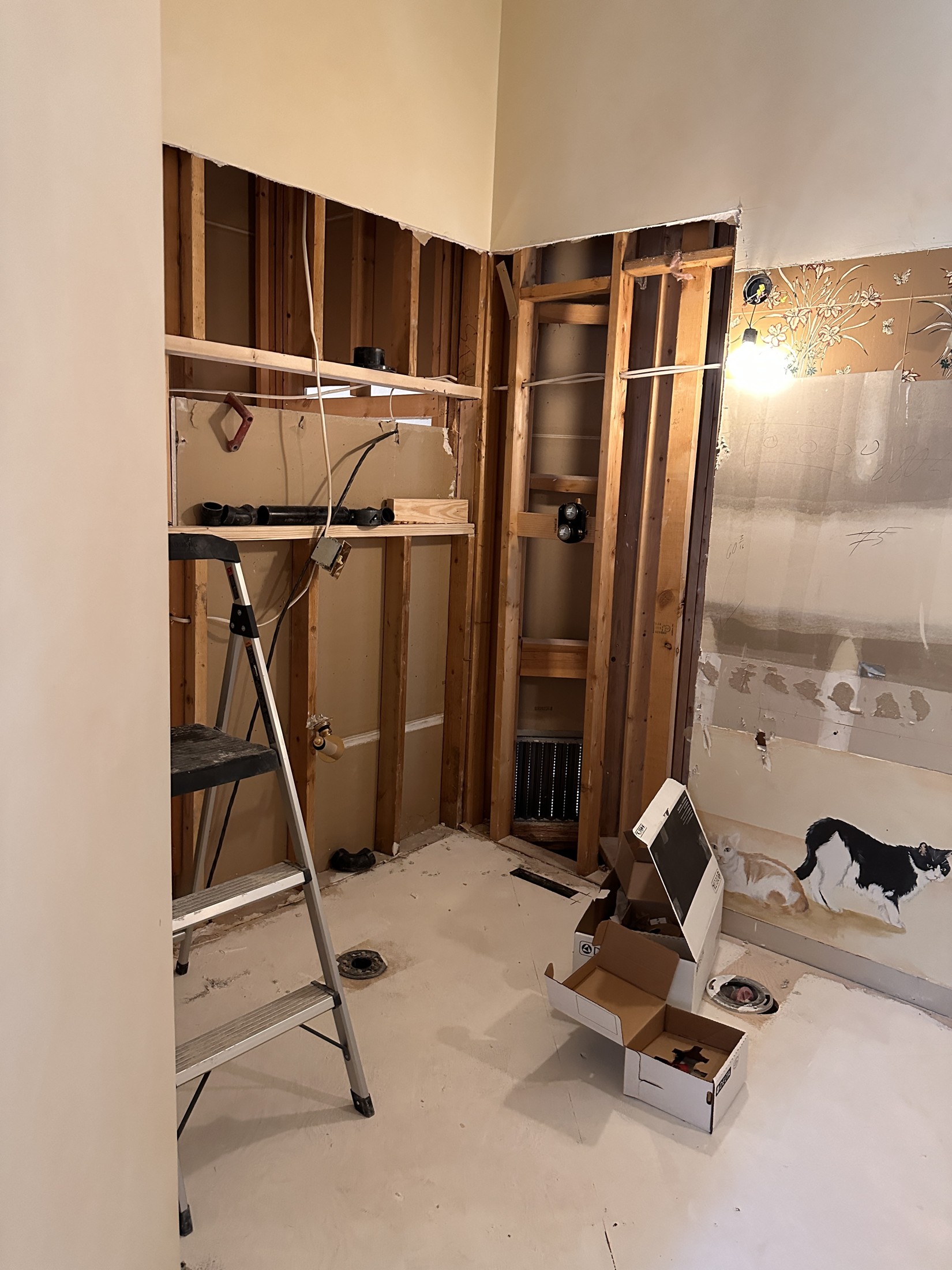 During · Toilet Relocated + New Shower Framing